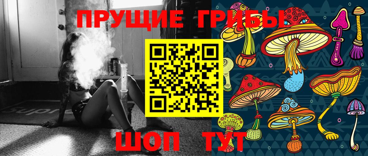 где продают   Псилоцибиновые грибы мицелий  Вход с VPN  Верхний Уфалей 
